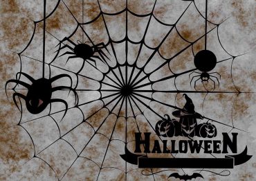 Taller de arañas terroríficas